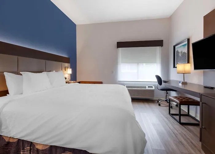 Hotel Western Sycamore